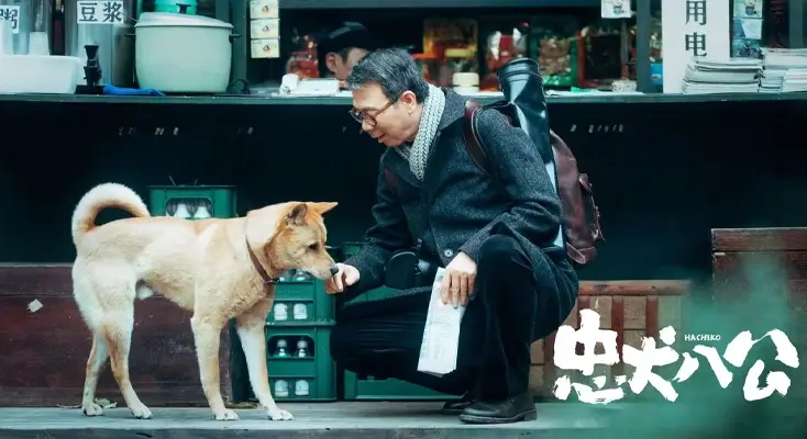 在国外如何看爱奇艺指南